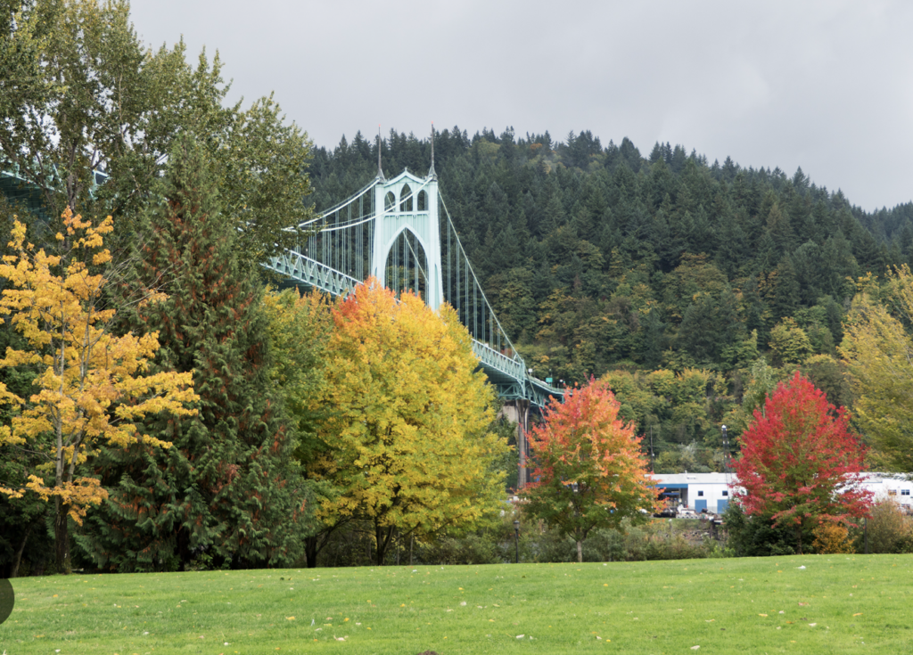 portland's cathedral park st. john bridge
